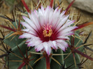 DSCF0080
