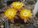 DSCF0084
