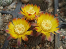 DSCF0086