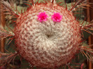 DSCF0093