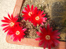 DSCF0098