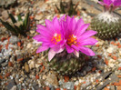 DSCF0104
