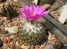 DSCF0105