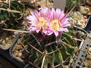 DSCF0107