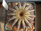 DSCF0344