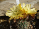 DSCF0356