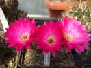 DSCF0360