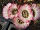 DSCF0370