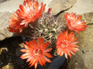 DSCF0373