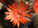 DSCF0374