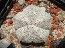 DSCF0383