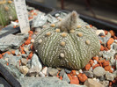 DSCF0387