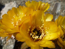 DSCF0448