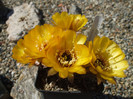 DSCF0449