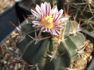 DSCF9780