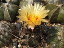 DSCF9787