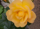 2012-05-24 15.09.58
