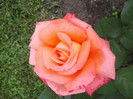 2012-05-25 17.38.36