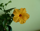 P1390377