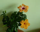 P1390380