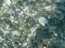 Kefalon2012 230