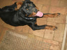 25.05.2012-8 luni (25)