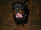 25.05.2012-8 luni (1)
