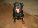 25.05.2012-8 luni (4)