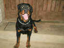 25.05.2012-8 luni (15)