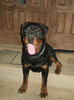 25.05.2012-8 luni (20)