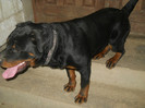 25.05.2012-8 luni (18)