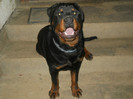 25.05.2012-8 luni (8)