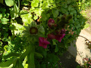 DSCN5872