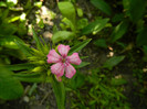DSCN5873