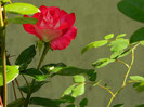 DSCN5882