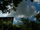 DSCN5891