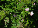 DSCN5895
