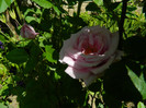 DSCN5896