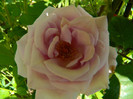 DSCN5897