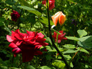 DSCN5931