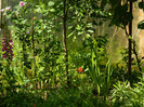 DSCN5953