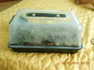 propagator