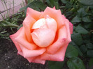 2012-05-26 17.31.30