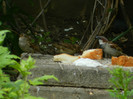 DSCN6040