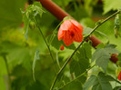 DSCN6043