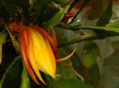 DSCN6050
