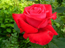 DSCN6060