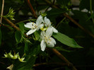 DSCN6074