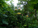 DSCN6128