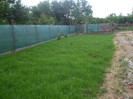 DSCF5740